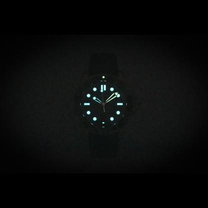 Omega Seamaster Blue Dial Automatic Rubber Strap 42mm Men's Watch