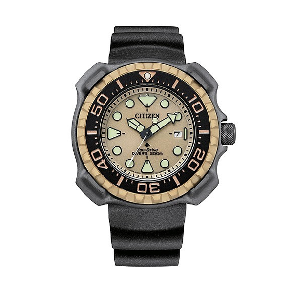 Citizen Watch Citizen