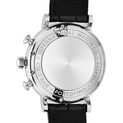 IWC Portofino IW391029 men's watch with automatic movement